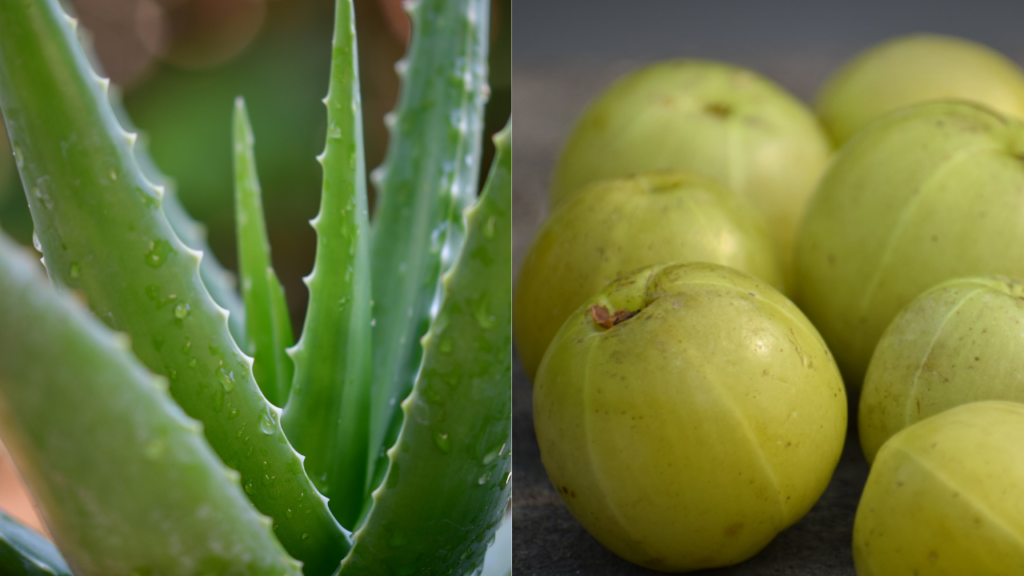 AMLA ALOE VERA JUICE ​