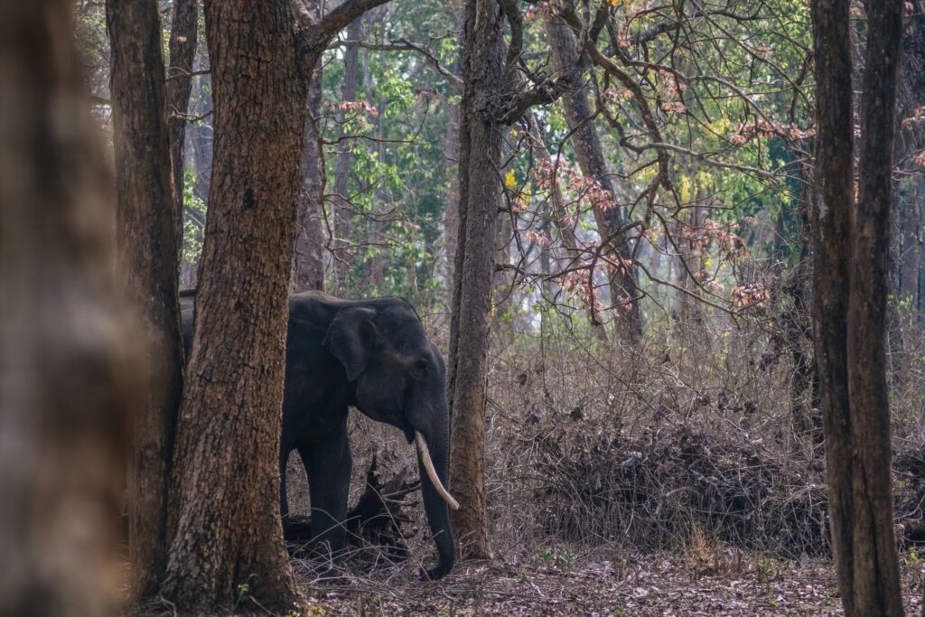 Karnataka tourist places